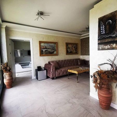 Lux Vila Aleksandar Sremska Kamenica Εξωτερικό φωτογραφία