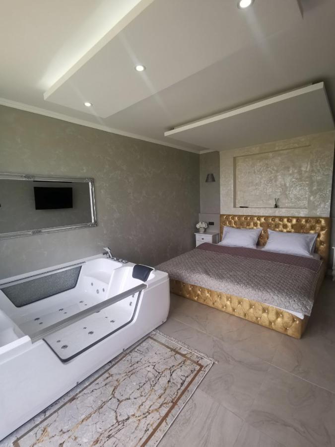 Lux Vila Aleksandar Sremska Kamenica Εξωτερικό φωτογραφία